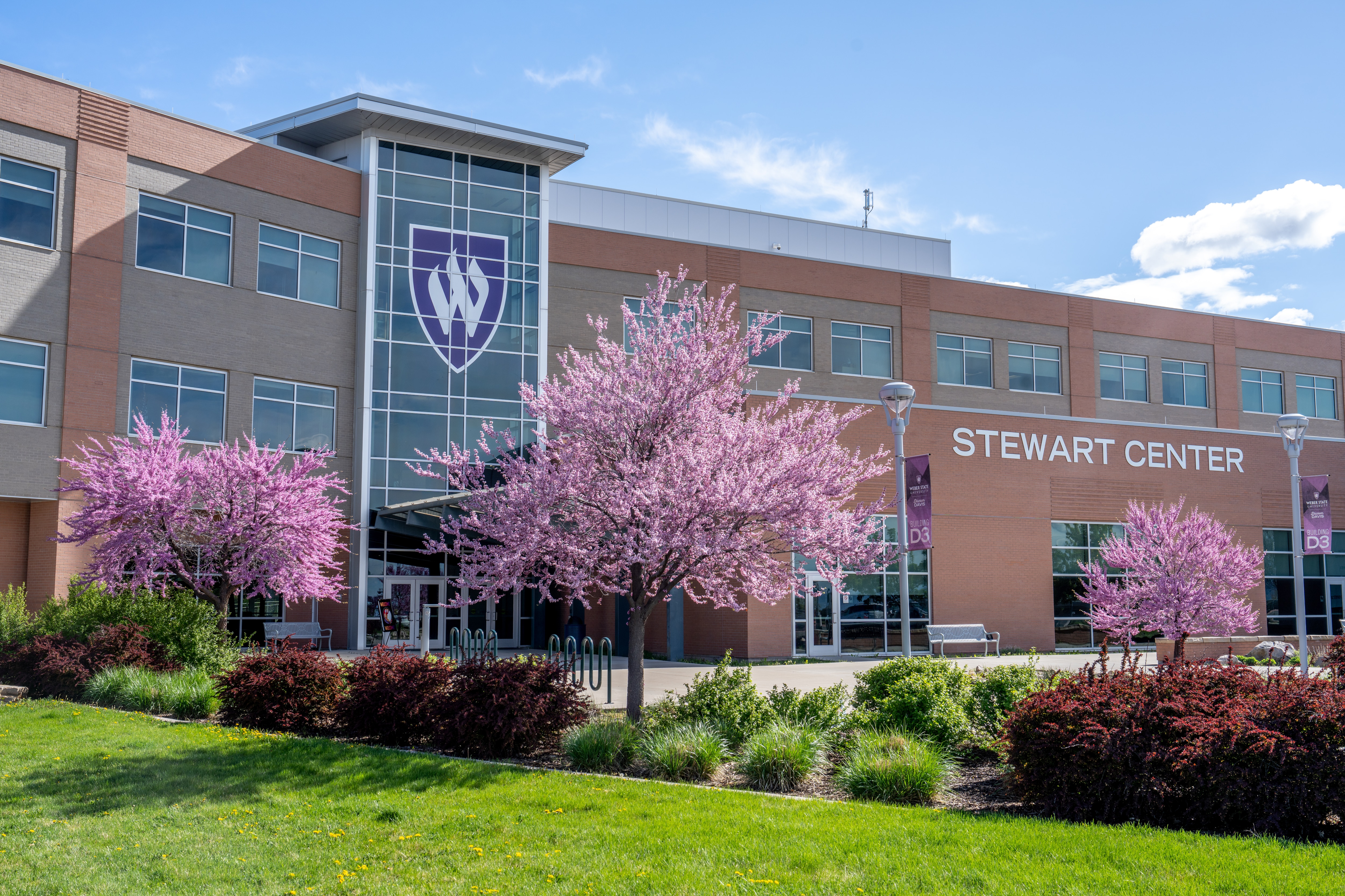 Stewart Center building
